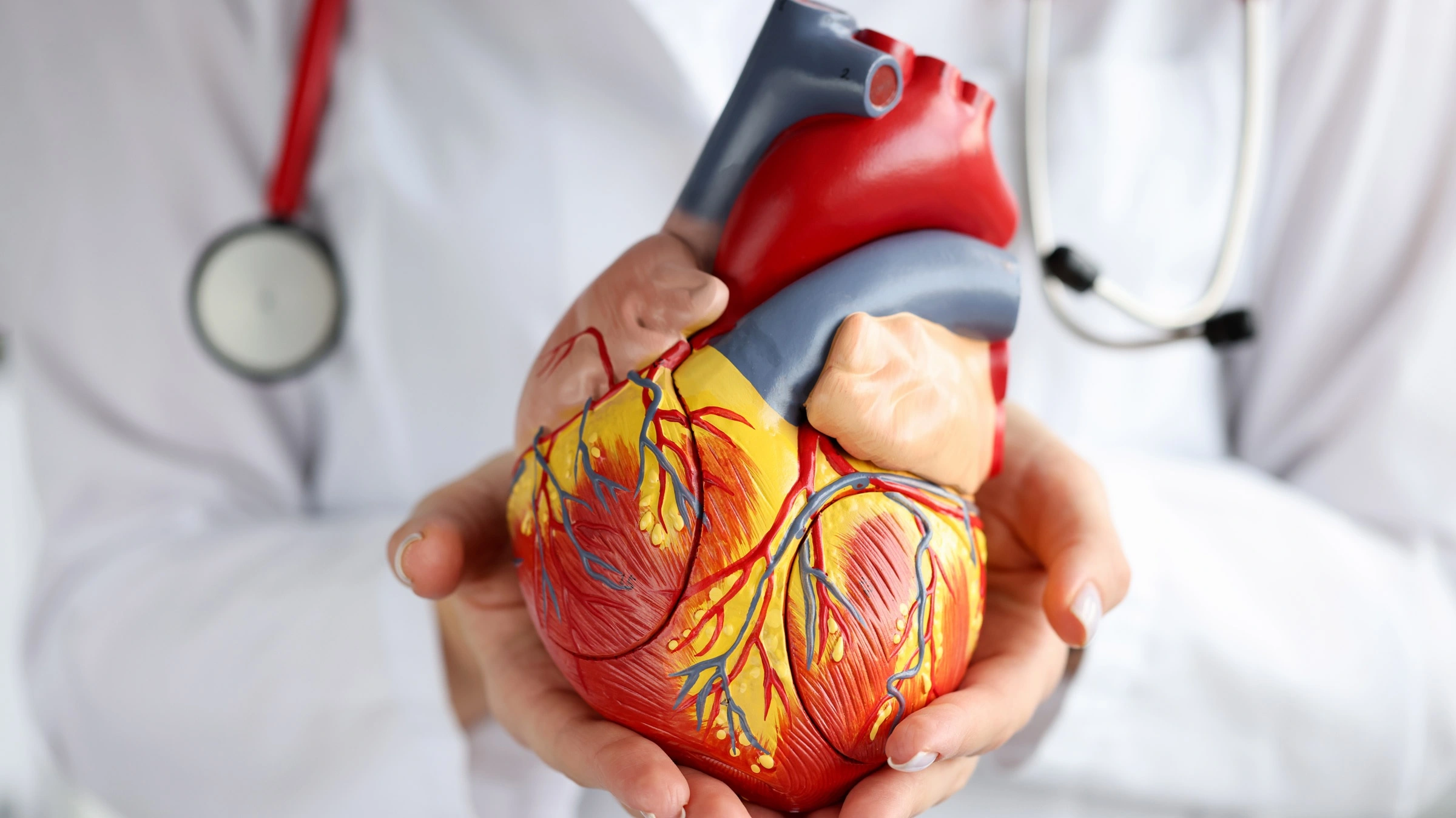 Cardiology | Best Multispeciality Hospital in Hyderabad