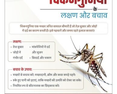 Chikungunya: Symptoms, causes and prevention measures| Shantilal Hospital